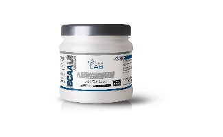 GENLAB BCAA L8 ARMOUR 240G APLLE