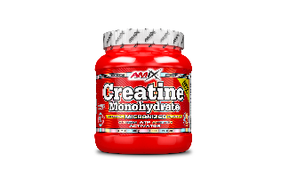 Amix Creatine Monohydrate Powder 300g+B6